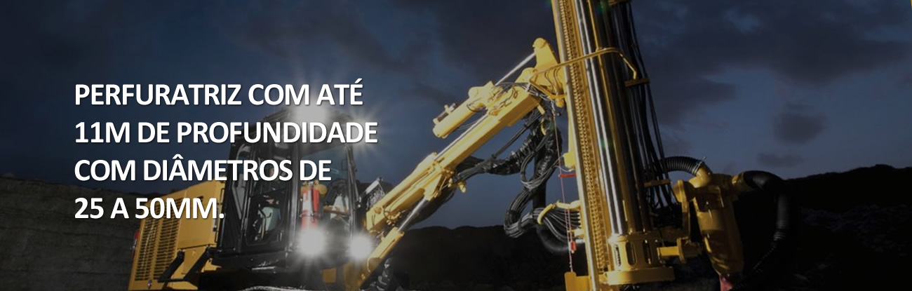 Luizão Disk Entulhos